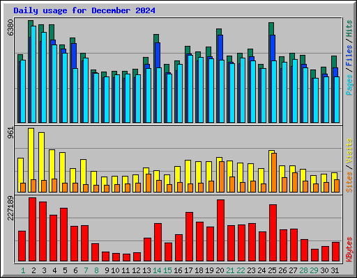 Daily usage for December 2024