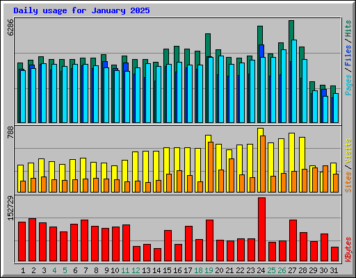 Daily usage for January 2025