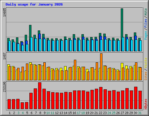 Daily usage for January 2026