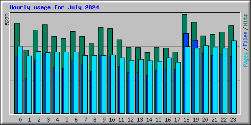 Hourly usage for July 2024