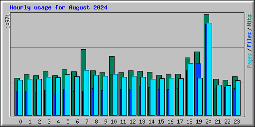 Hourly usage for August 2024