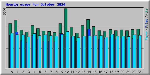 Hourly usage for October 2024