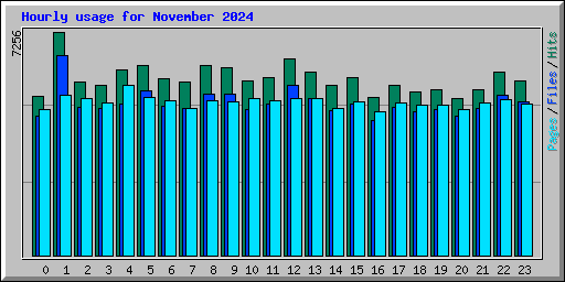 Hourly usage for November 2024