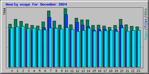 Hourly usage for December 2024