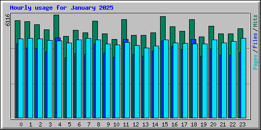 Hourly usage for January 2025