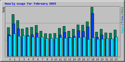 Hourly usage for February 2025