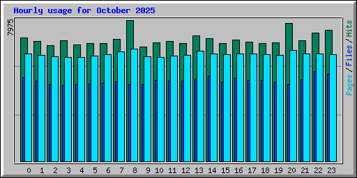Hourly usage for October 2025