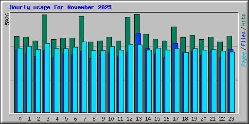 Hourly usage for November 2025