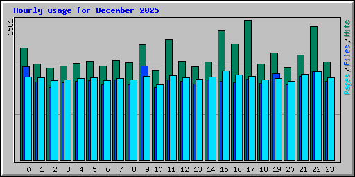 Hourly usage for December 2025