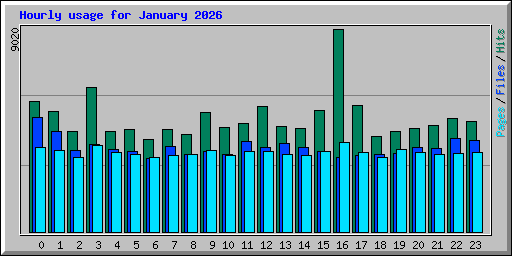 Hourly usage for January 2026