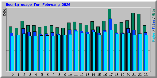 Hourly usage for February 2026