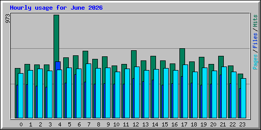 Hourly usage for June 2026